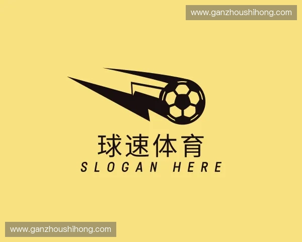 介绍球速体育官方网站
